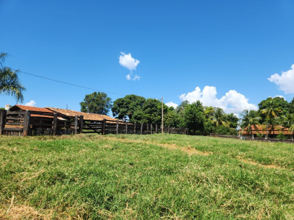 Fazenda à Venda, 800 m² em Zona Rural - Santo Antônio Do Aracanguá