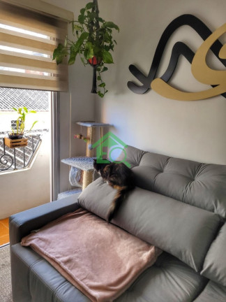 Imagem Apartamento com 2 Quartos à Venda, 70 m² em Chácara Santo Antônio (zona Sul) - São Paulo