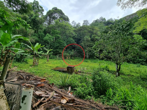 Imagem Casa com 3 Quartos à Venda, 1.000 m² em Boiçucanga - São Sebastião