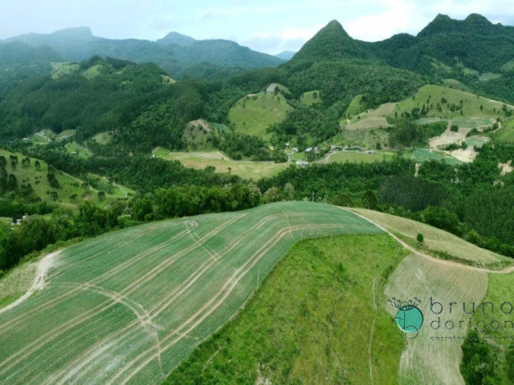 Imóvel com 2 Quartos à Venda, 425.000 m² em Zona Rural - Alfredo Wagner