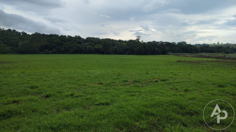 Imagem Terreno à Venda, 81.332 m² em Colônia Dona Luíza - Ponta Grossa