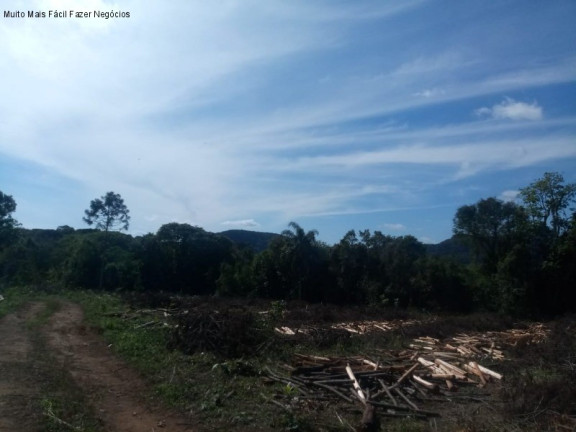 Imagem Terreno à Venda, 4 m² em Pinhal Alto - Nova Petrópolis Imagem Terreno à Venda, 4 m² em Pinhal Alto - Nova Petrópolis