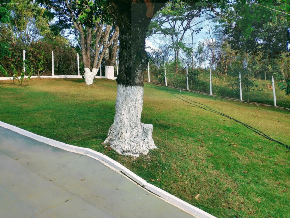 Imagem Chácara com 2 Quartos à Venda, 180 m² em Paraiso - Mateus Leme