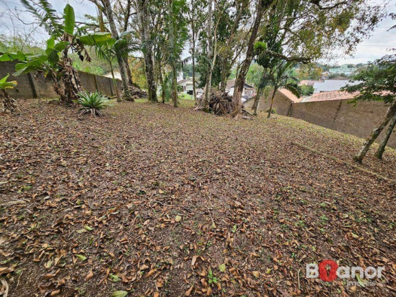 Imagem Terreno à Venda, 1.911 m² em Velha - Blumenau Imagem Terreno à Venda, 1.911 m² em Velha - Blumenau