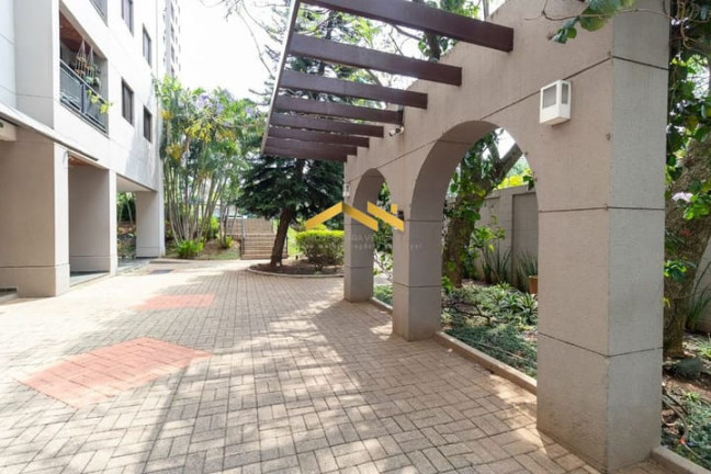 Imagem Apartamento com 3 Quartos à Venda, 61 m² em Vila Arapuã - São Paulo Imagem Apartamento com 3 Quartos à Venda, 61 m² em Vila Arapuã - São Paulo