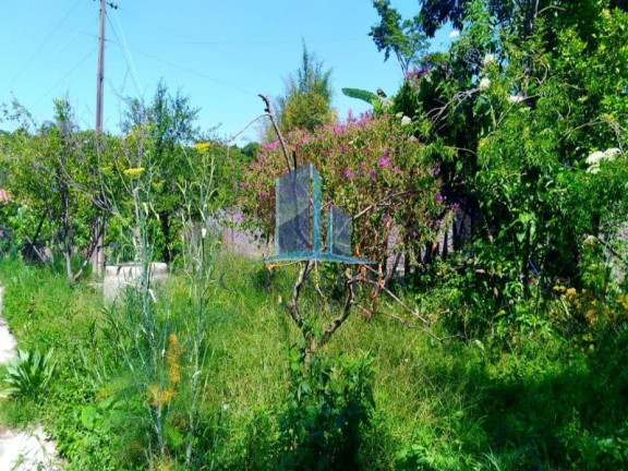 Imagem Imóvel com 2 Quartos à Venda, 2.500 m² em Andiroba - Esmeraldas