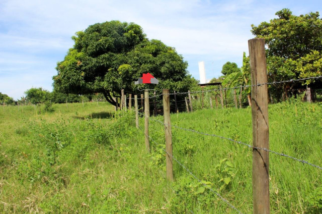 Imagem Chácara com 3 Quartos à Venda, 6 m² em Bálsamo