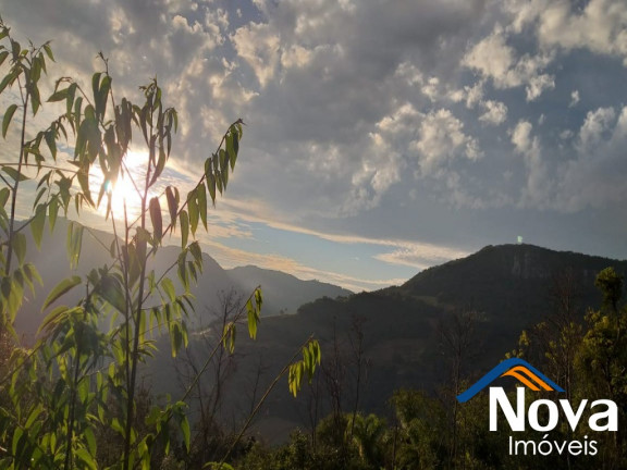 Imagem Imóvel à Venda, 31.701 m² em Linha Pirajá Baixa - Nova Petrópolis