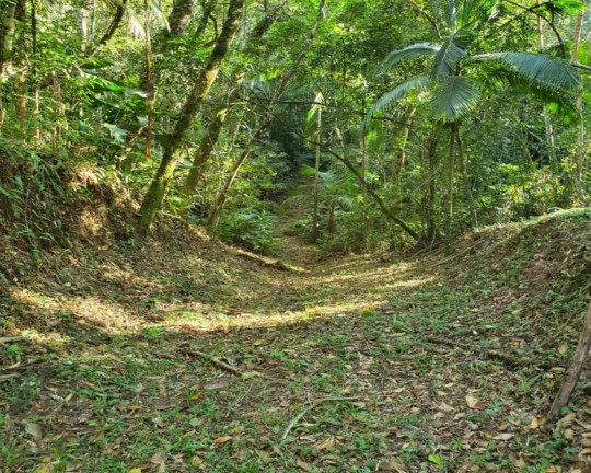 Imagem Terreno à Venda, 96.000 m² em Dom Joaquim - Brusque