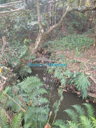 Imagem Imóvel à Venda, 1 m² em Zona Rural - Borda Da Mata Imagem Imóvel à Venda, 1 m² em Zona Rural - Borda Da Mata