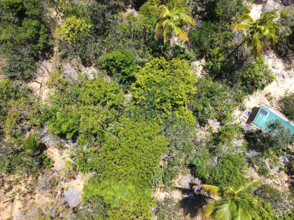 Imagem Terreno à Venda, 6.000 m² em Diogo - Mata De São João Imagem Terreno à Venda, 6.000 m² em Diogo - Mata De São João