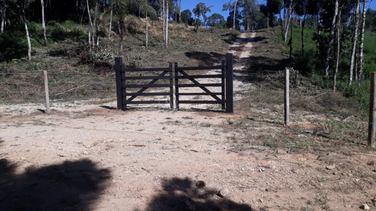 Fazenda à Venda, 58.665 m² em Pacotuba - Almirante Tamandaré