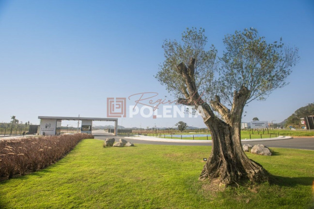 Imagem Terreno à Venda, 1.880 m² em Gravatá - Navegantes Imagem Terreno à Venda, 1.880 m² em Gravatá - Navegantes
