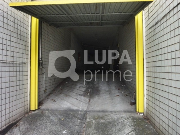 Imóvel Comercial para Alugar, 425 m² em Parque Mandaqui - São Paulo