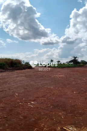 Imagem Imóvel com 1 Quarto à Venda, 310 m² em área Rural De Ribeirão Preto - Ribeirão Preto Imagem Imóvel com 1 Quarto à Venda, 310 m² em área Rural De Ribeirão Preto - Ribeirão Preto