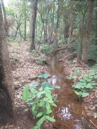 Imagem Terreno à Venda, 7.000 m² em Mateus Leme