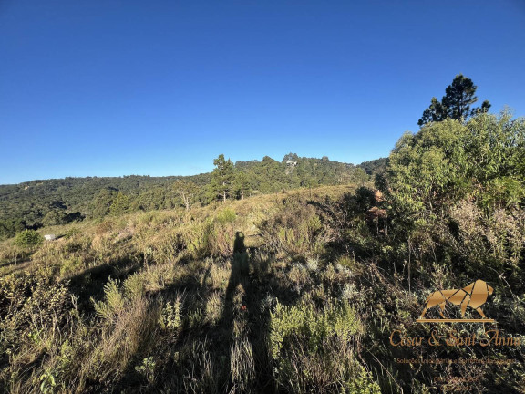Imagem Terreno à Venda, 1.500 m² em Campos Do Jordão Imagem Terreno à Venda, 1.500 m² em Campos Do Jordão