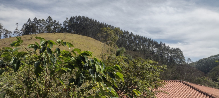 Imagem Chácara com 2 Quartos à Venda, em Pico Agudo - São Luíz Do Paraitinga Imagem Chácara com 2 Quartos à Venda, em Pico Agudo - São Luíz Do Paraitinga