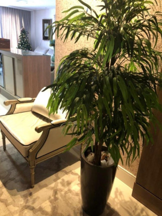 Imagem Apartamento com 2 Quartos à Venda, 104 m² em Campinas - São José Imagem Apartamento com 2 Quartos à Venda, 104 m² em Campinas - São José