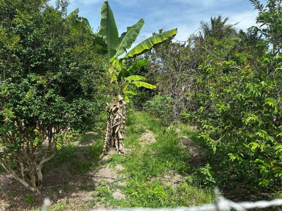 Imagem Chácara com 7 Quartos à Venda, em Centro - Areia Branca Imagem Chácara com 7 Quartos à Venda, em Centro - Areia Branca