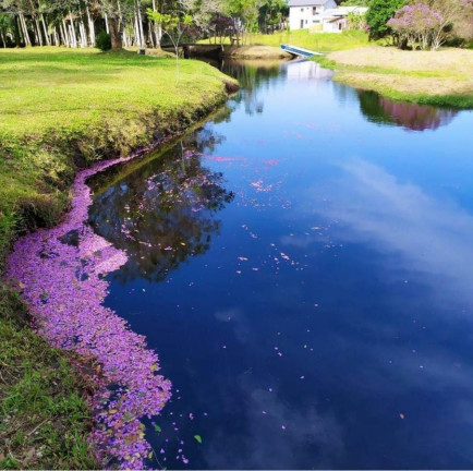 Imagem Chácara à Venda, 5 m² em Pinheiros - Balneário Barra Do Sul Imagem Chácara à Venda, 5 m² em Pinheiros - Balneário Barra Do Sul