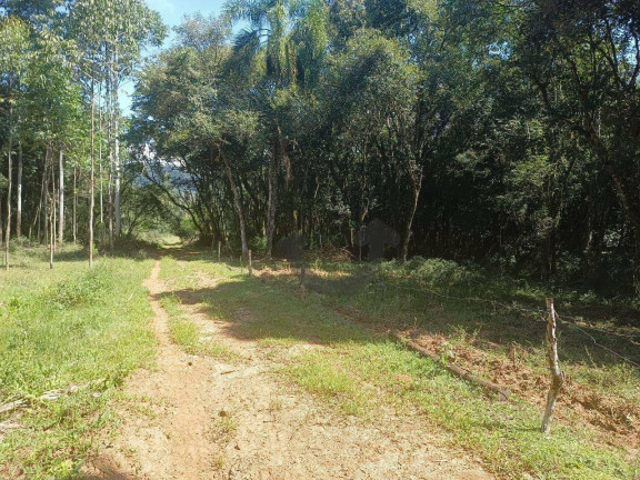 Imagem Chácara à Venda, 110 m² em Linha Travessa - Santa Cruz Do Sul
