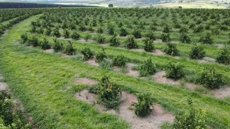 Imagem Fazenda à Venda, 121 m² em Rio Pardo - águas De Santa Bárbara