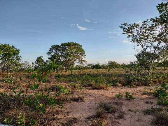 Imagem Fazenda à Venda, 1.046 m² em Arinos - Arinos Imagem Fazenda à Venda, 1.046 m² em Arinos - Arinos