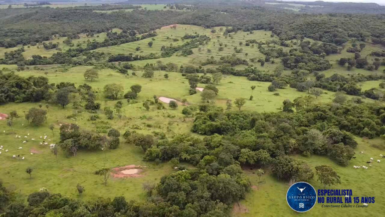 Imagem Fazenda à Venda, 116 m² em Zona Rural - Rio Verde Imagem Fazenda à Venda, 116 m² em Zona Rural - Rio Verde