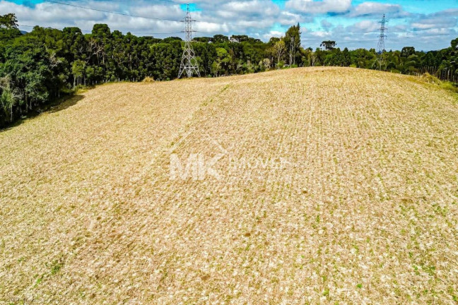 Imagem Terreno à Venda, 21.000 m² em Cayva - Piraquara Imagem Terreno à Venda, 21.000 m² em Cayva - Piraquara