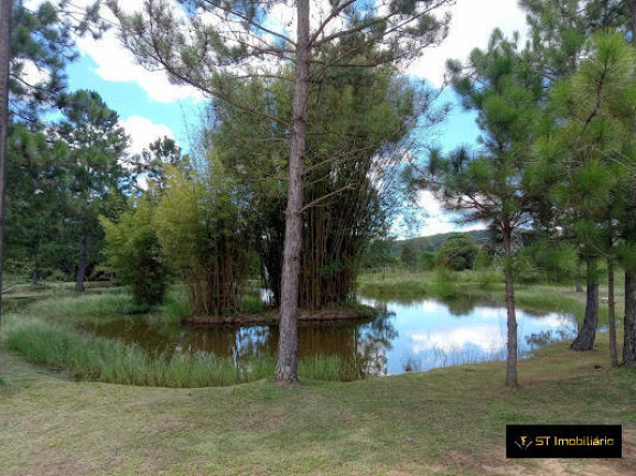 Imagem Chácara com 3 Quartos à Venda, 40.000 m² em Vitória Régia - Atibaia