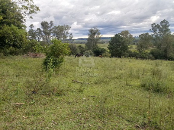 Imagem Terreno à Venda, 5.000 m² em Boi Morto - Santa Maria Imagem Terreno à Venda, 5.000 m² em Boi Morto - Santa Maria