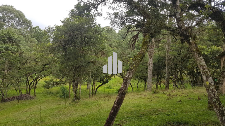 Imagem Imóvel com 3 Quartos à Venda, 70 m² em Britadeira - São Francisco De Paula