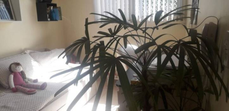 Imagem Cobertura com 3 Quartos à Venda, 127 m² em Jardim Santa Clara - Taubaté Imagem Cobertura com 3 Quartos à Venda, 127 m² em Jardim Santa Clara - Taubaté