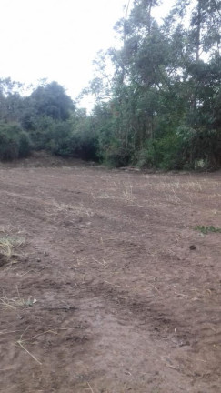 Imagem Imóvel com 1 Quarto à Venda, 8.177 m² em Tijuco Preto - Quadra