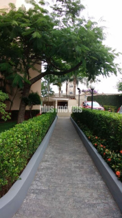 Imagem Apartamento com 2 Quartos à Venda, 48 m² em Vila Inglesa - São Paulo