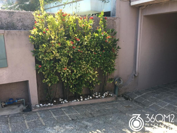 Imagem Casa com 3 Quartos à Venda, 158 m² em Olímpico - São Caetano Do Sul Imagem Casa com 3 Quartos à Venda, 158 m² em Olímpico - São Caetano Do Sul