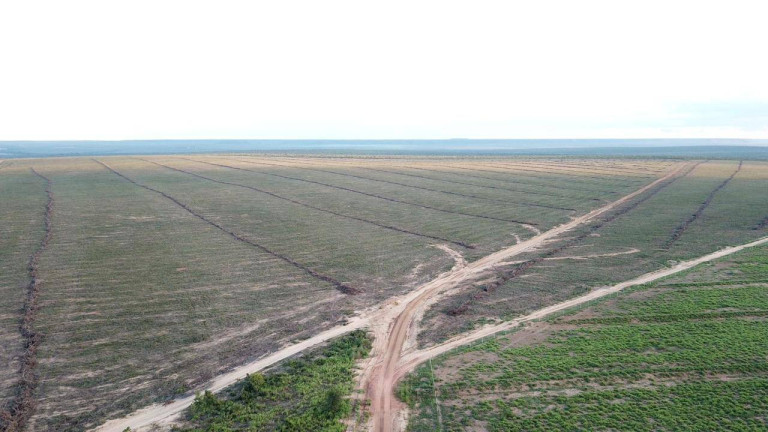 Imagem Fazenda à Venda, 1 m² em Mateiros Imagem Fazenda à Venda, 1 m² em Mateiros