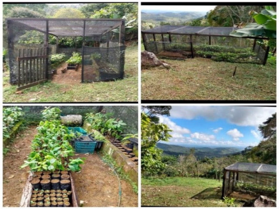 Fazenda à Venda, 139.000 m² em Jardim Savóia - Ilhéus