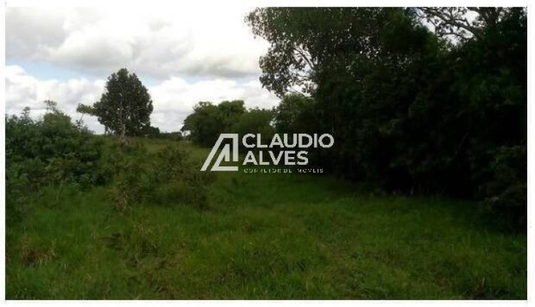 Imagem Terreno à Venda, 13.000 m² em Br 324 - Amélia Rodrigues Imagem Terreno à Venda, 13.000 m² em Br 324 - Amélia Rodrigues