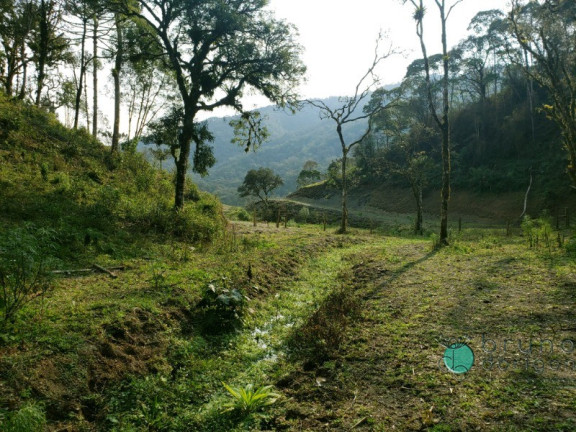 Imagem Imóvel com 1 Quarto à Venda, 72.000 m² em Interior - Bom Retiro
