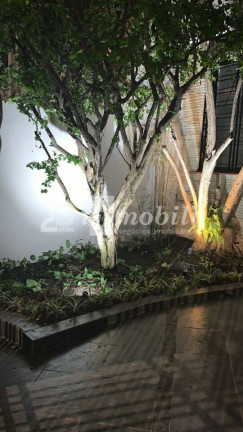 Imagem Casa com 3 Quartos à Venda, 140 m² em Aclimação - São Paulo Imagem Casa com 3 Quartos à Venda, 140 m² em Aclimação - São Paulo