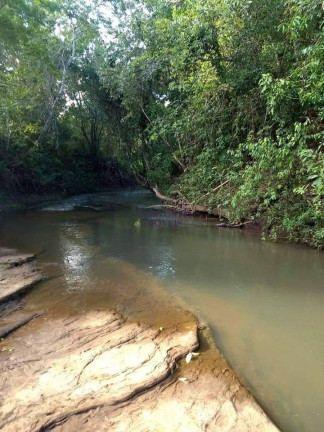 Imagem Imóvel com 5 Quartos à Venda, 130.000 m² em Zona Rural - Bandeirantes Imagem Imóvel com 5 Quartos à Venda, 130.000 m² em Zona Rural - Bandeirantes