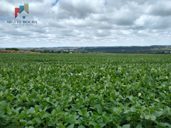 Imagem Imóvel à Venda, 484.000 m² em Enxovia - Tatuí Imagem Imóvel à Venda, 484.000 m² em Enxovia - Tatuí
