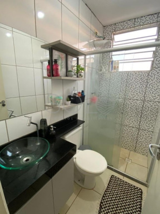 Imagem Apartamento com 2 Quartos à Venda, 51 m² em Jardim Das Flores - Araraquara Imagem Apartamento com 2 Quartos à Venda, 51 m² em Jardim Das Flores - Araraquara