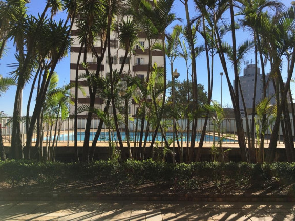 Imagem Apartamento com 3 Quartos à Venda, 65 m² em Vila Granada - São Paulo