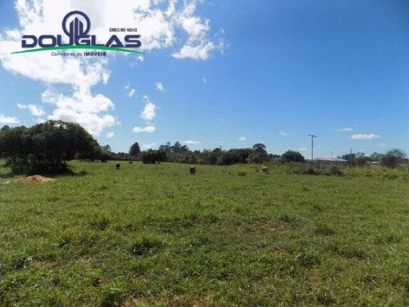 Imagem Terreno à Venda, 1.100 m² em águas Claras - Viamão Imagem Terreno à Venda, 1.100 m² em águas Claras - Viamão