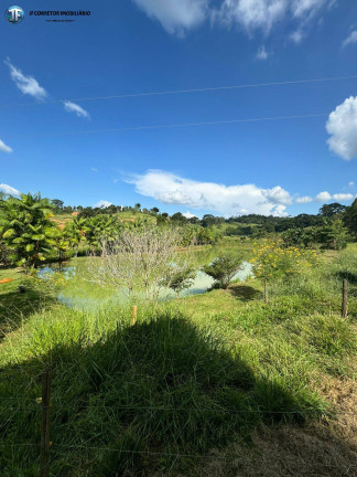 Imagem Chácara com 6 Quartos à Venda, 55.000 m² em Belo Oriente
