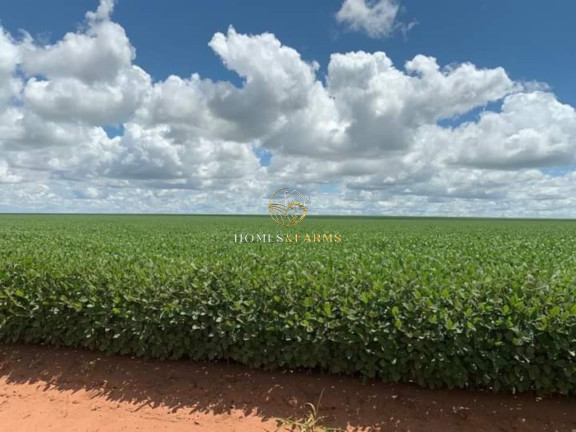 Imagem Imóvel com 3 Quartos à Venda, 16.943 m² em Zona Rural - Primavera Do Leste Imagem Imóvel com 3 Quartos à Venda, 16.943 m² em Zona Rural - Primavera Do Leste