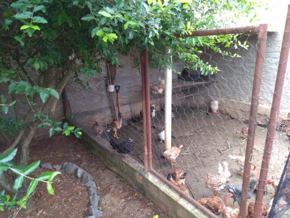 Imagem Casa com 3 Quartos à Venda, 900 m² em Cercadinho - Alambari Imagem Casa com 3 Quartos à Venda, 900 m² em Cercadinho - Alambari